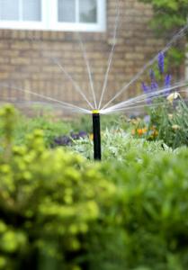 A low flow sprinkler head in action